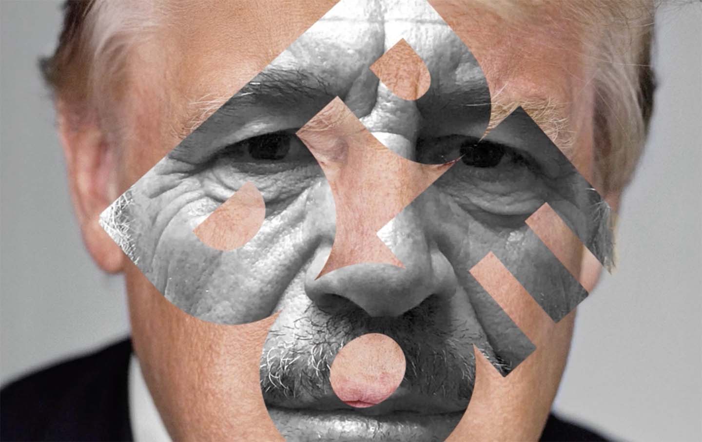 X-Ray-Stein | The Nation