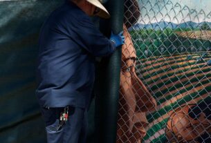 On Chavez, People, and Power