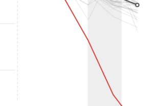 Nearly Half of Arizona’s SNAP Participants Have Lost Benefits — ProPublica