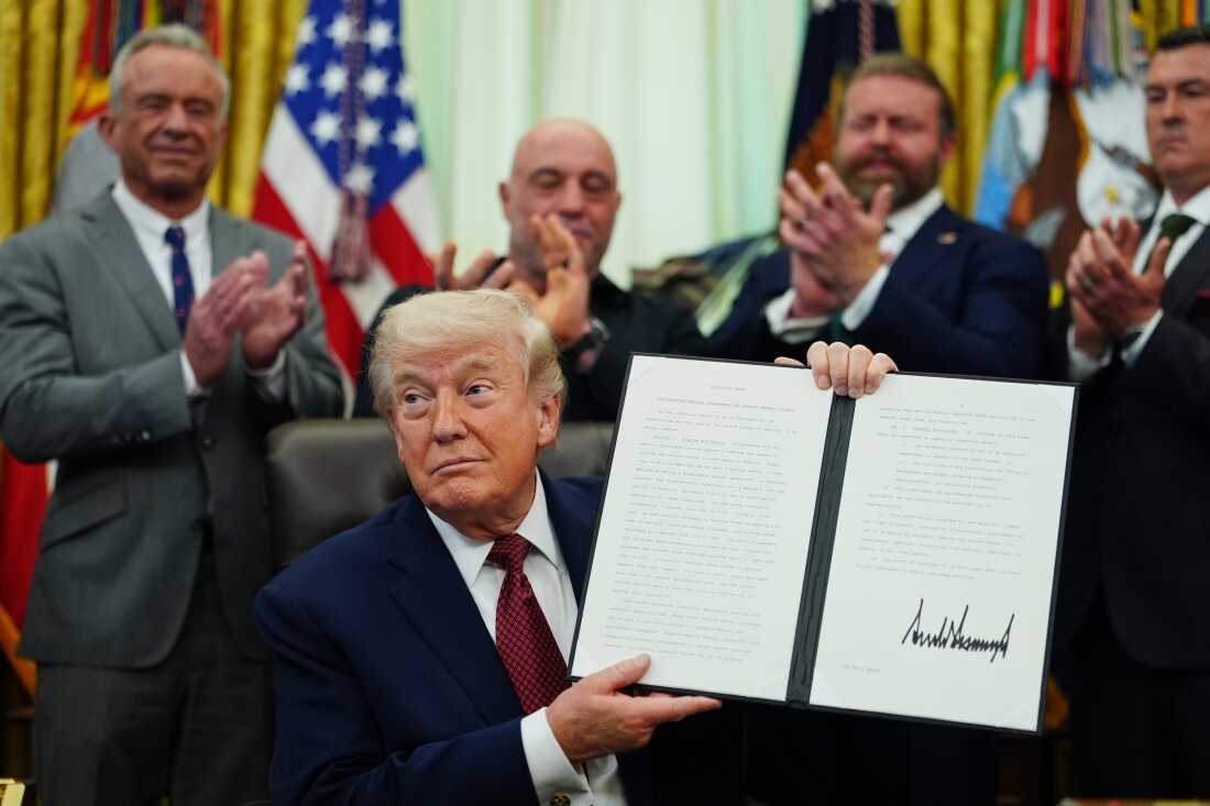 Trump expedites review of psychedelics to treat mental health disorders : NPR